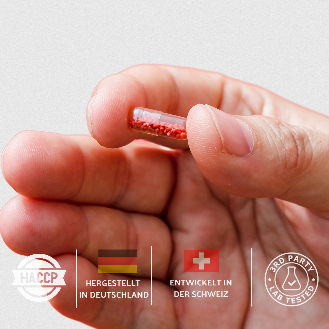 B・SYNC® ON Forte - 240 Kapseln