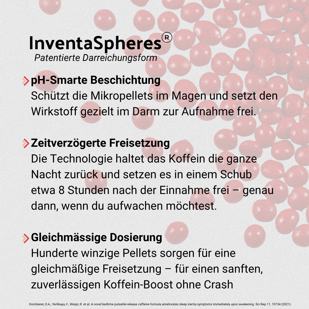B・SYNC® Früher Morgen & Langer Tag